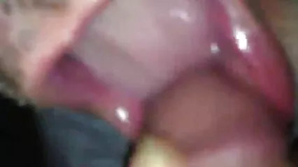 ایلیٹ طوائف نے امیر فیلم از الکسیس تگزاس حضرات کی خدمت کی۔