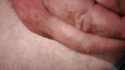 بالغ خواتین فطرت میں ایک دوسرے کی بلیوں کو پیار الکسیس از کون کرتی ہیں۔